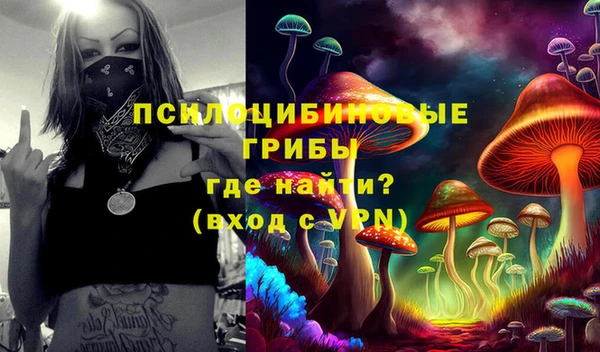 меф Дмитровск