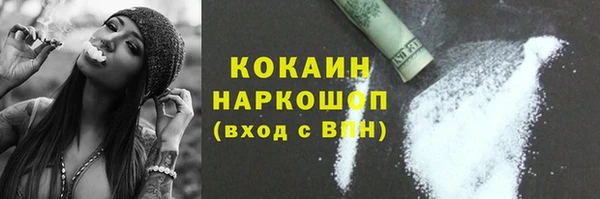 стаф Майский