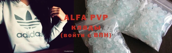 стаф Майский