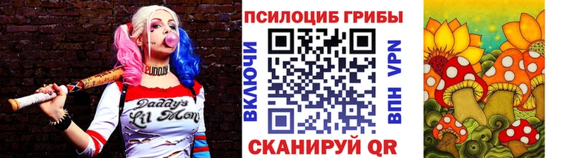 Псилоцибиновые грибы Cubensis  Иланский 